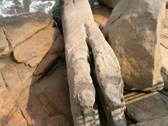 -那琴半岛地质海洋公园