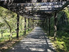 -九龙潭景区