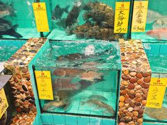 -有腥气私房菜·寻味顺德