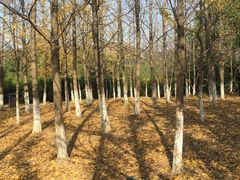 -白马涧龙池景区