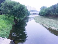 -将府公园