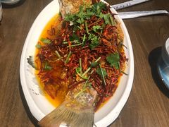 -向民炒鸡老店(金泰华府店)