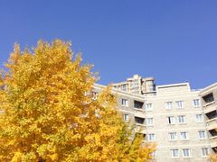-辽宁大学(崇山校区)