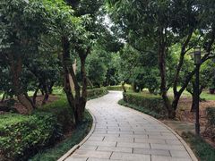 -月亮湾公园