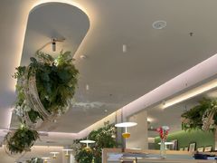 -Aqua Oasis 水天堂(太湖中心mall店)