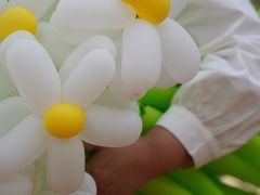 -蜀冈西峰生态公园