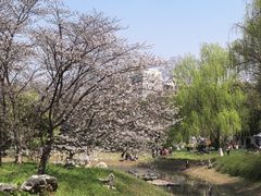 -堤角公园