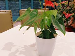 -大鸭梨烤鸭(顺义石园店)