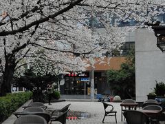 -玛格萝妮比萨屋(四平店)