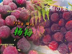 -西山风景区