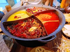 -白乐天毛肚火锅馆(解放碑店)