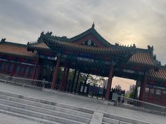 -莲花池公园
