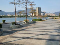 -飞来湖湿地公园