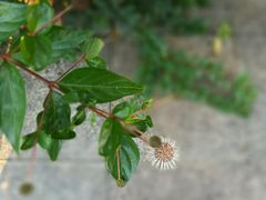 -九里河湿地公园