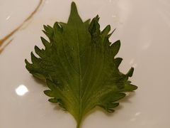 紫苏叶螺肉-海味观(老西门店)