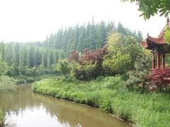 -日照海滨国家森林公园