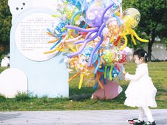 -宁波奥体中心综合馆