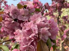 -元大都城垣遗址公园