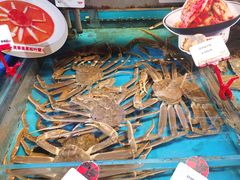 -必点海鲜·鲅鱼水饺(鞍山西道店)