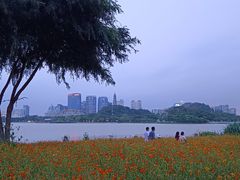 -顺峰山公园