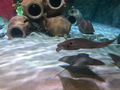 -沈阳海洋探索中心