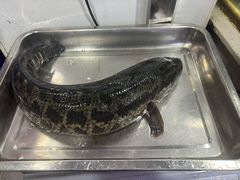 -活鱼馆(宜兴埠店)