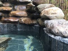 -水底山庄园温泉