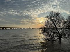 -宝安西湾红树林湿地公园