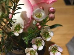 -雕刻时光咖啡馆(北苑店)