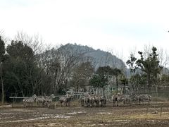 -宁波野生动物园
