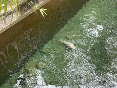 -广州神农草堂中医药博物馆