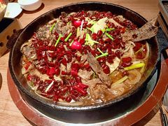老板恋上鱼-老板恋上鱼(高新万达店)