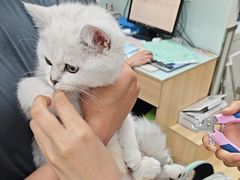 -宠福鑫康馨动物医院·骨科·眼科