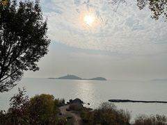 -上海市保健医疗中心