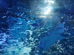 -常州海昌海洋探索馆