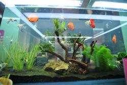 android_upload_pic-小左美发