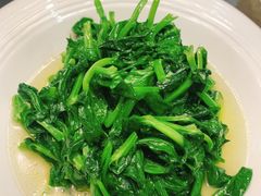 清炒豆尖-峨嵋酒家总店(车公庄店)