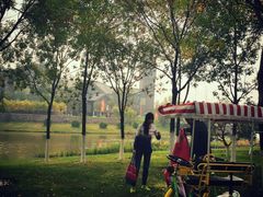 -武清南湖绿博园