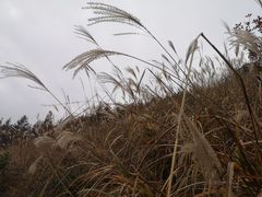-东白山