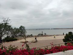 -宝安西湾红树林湿地公园