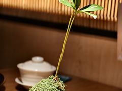 -阿强家川菜·29年老字号(岗顶店)