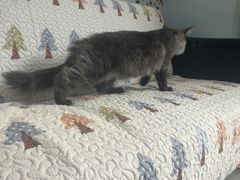 -全心全意连锁动物医院(加州店)