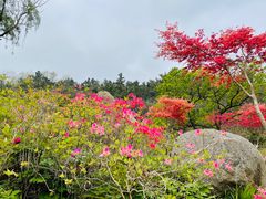 -青岛大珠山景区