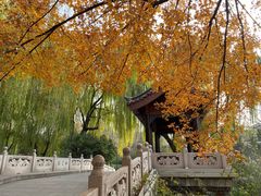 -济南大明湖景区