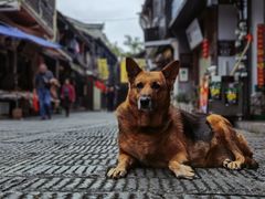 -靖港古镇