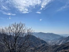 -大岭沟猕猴桃谷风景区