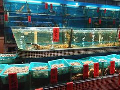 -海大大蒸汽海鲜餐厅·粤菜·特色小炒(欢乐颂店)