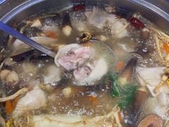 -千岛蚝高压锅生蚝·人参火锅(白云万达店)