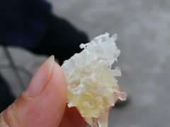 -绵阳盛世樱花悠乐谷