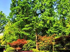 -徐家汇源景区-衡山公园